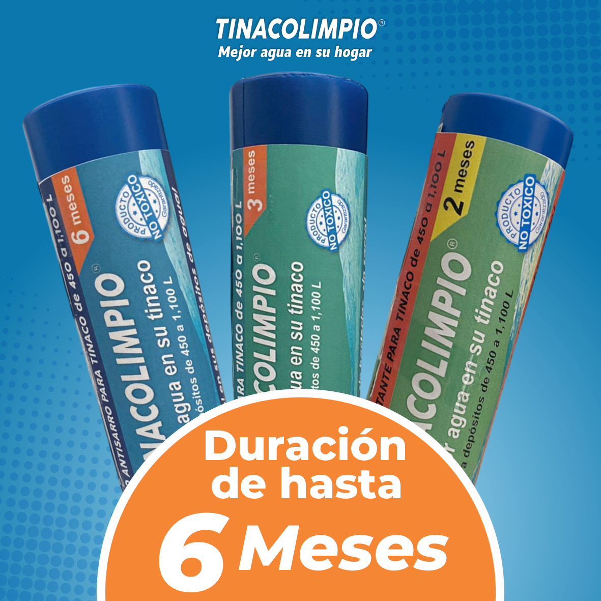 HASTA 6 MESES